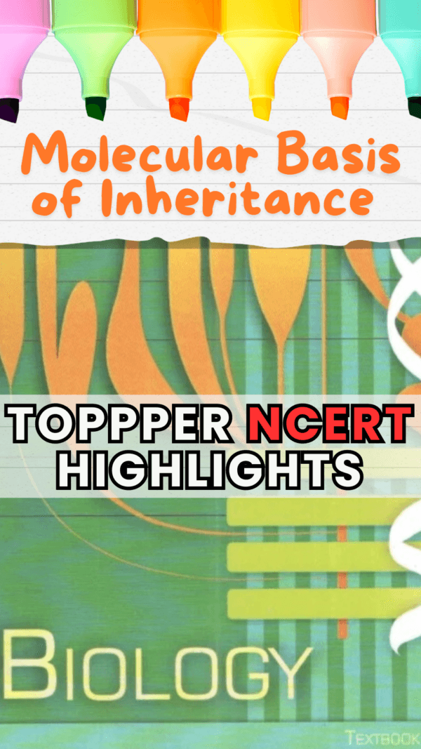 Molecular Basis of Inheritance Topper Highlighted NCERT